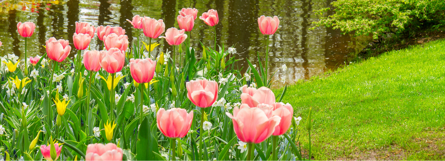 April 2026 News[Draft]