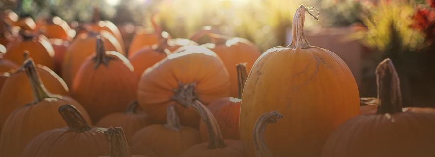 October 2026 News[Draft]